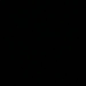 Meet your Posher, Lorena